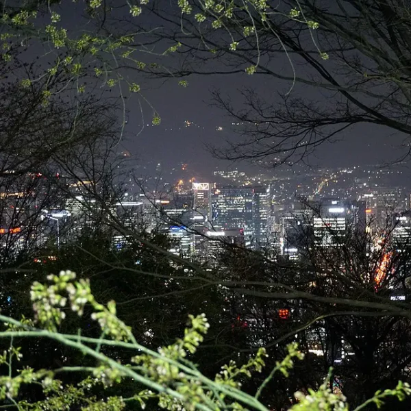 가든 카리나케어 마사지 안내 이미지