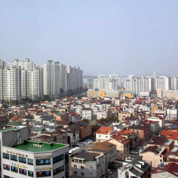 스위트 레이케어 테라피 안내 이미지