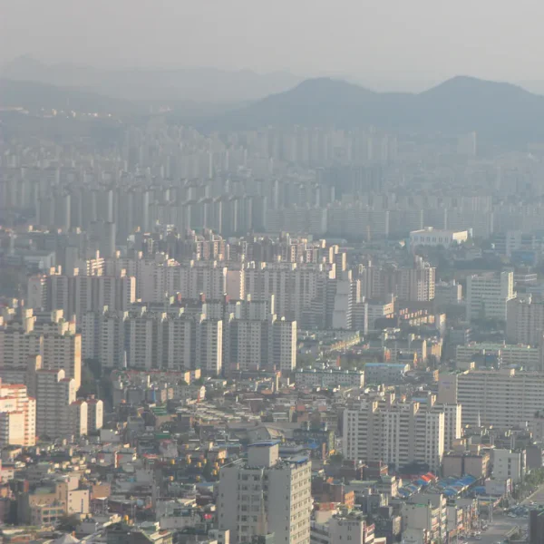 웰니스 가을웰빙 마사지 안내 이미지