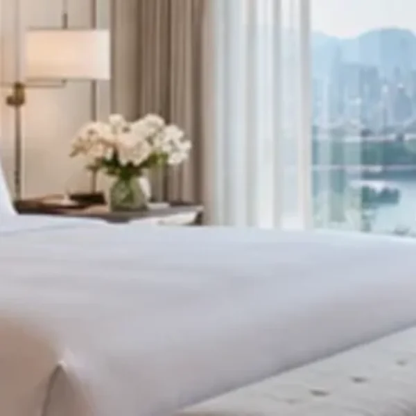 세리하우스 마사지 안내 이미지