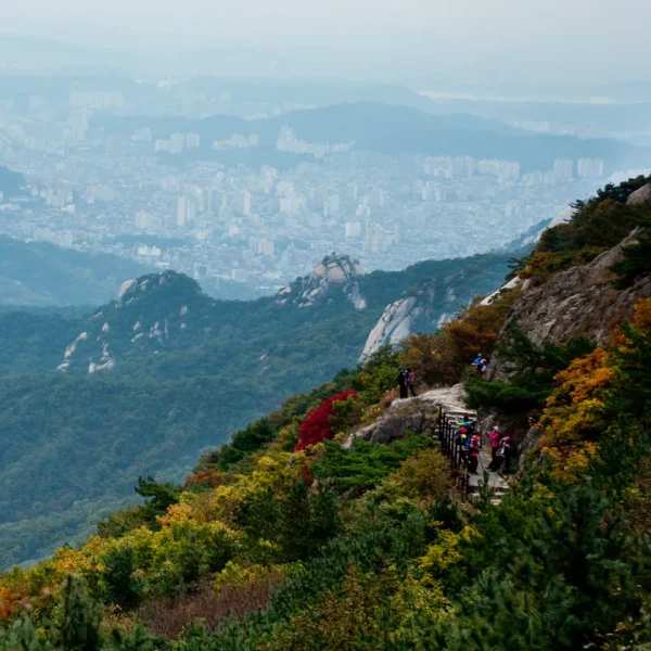 그랜드 보미스테이 테라피 안내 이미지
